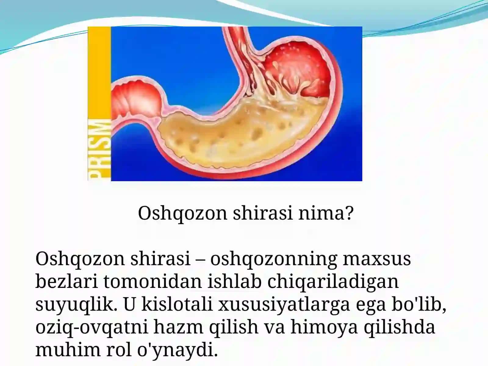Oshqozon shirasini interpretatsiyasi 2