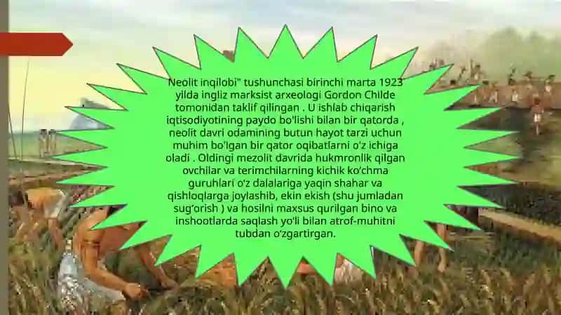 Neolit inqilobi 2
