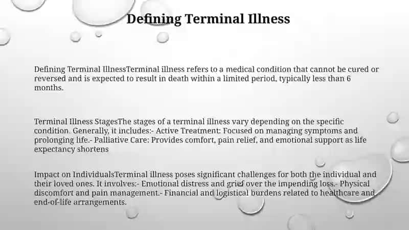 Terminal Illnen 2