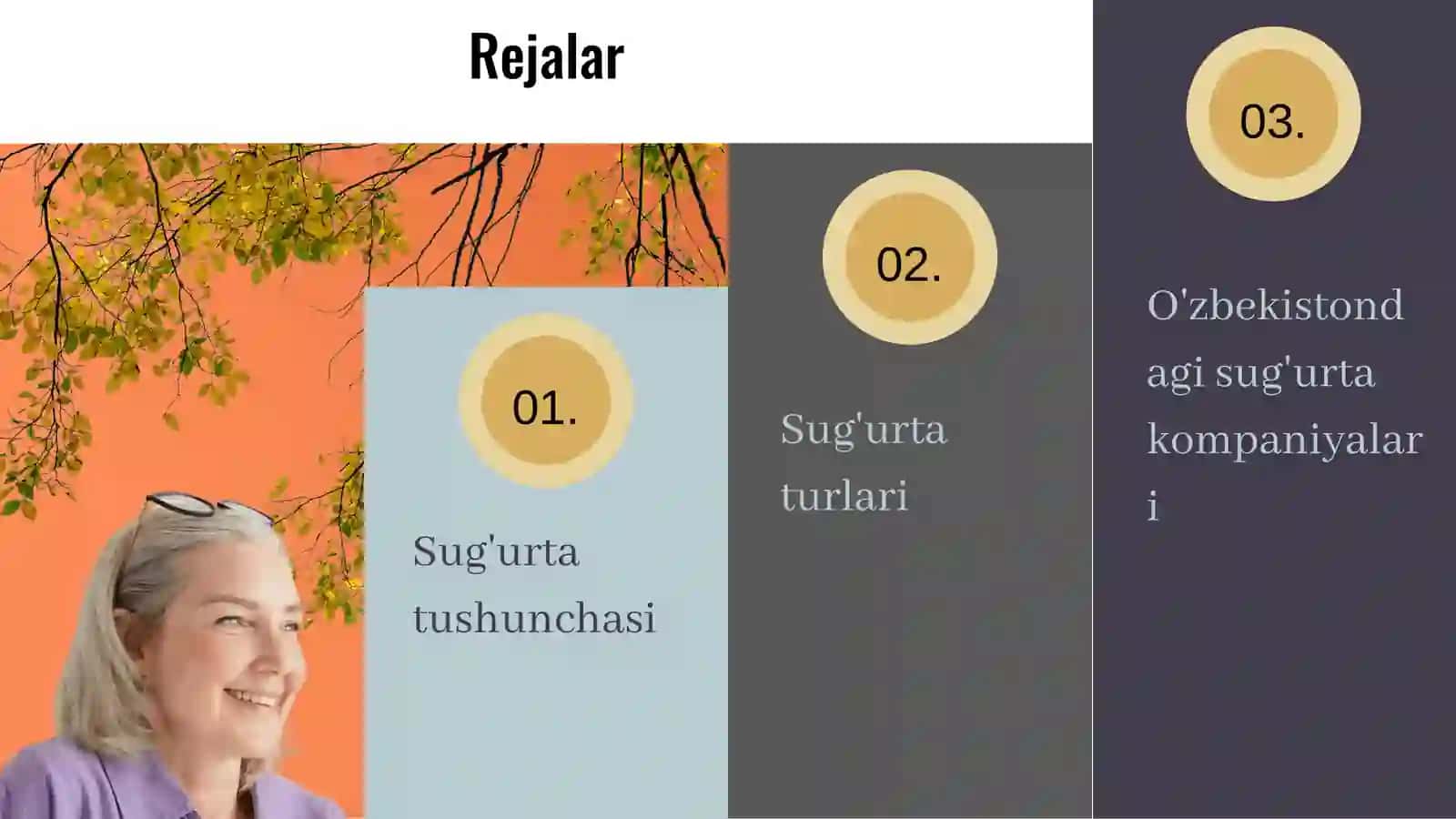 Sug'urta 2