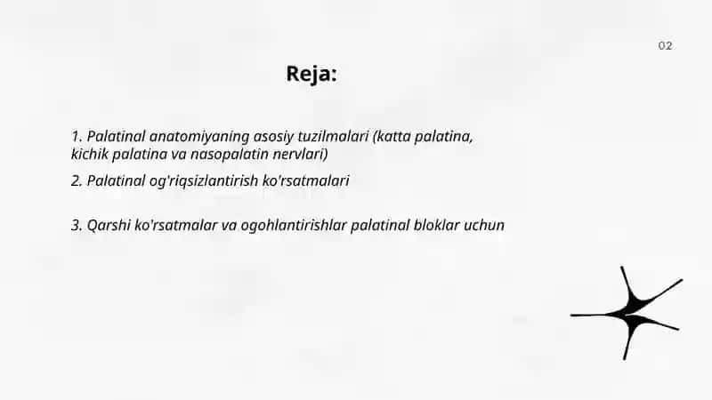 Palatinal og'riqsizlantirish 2