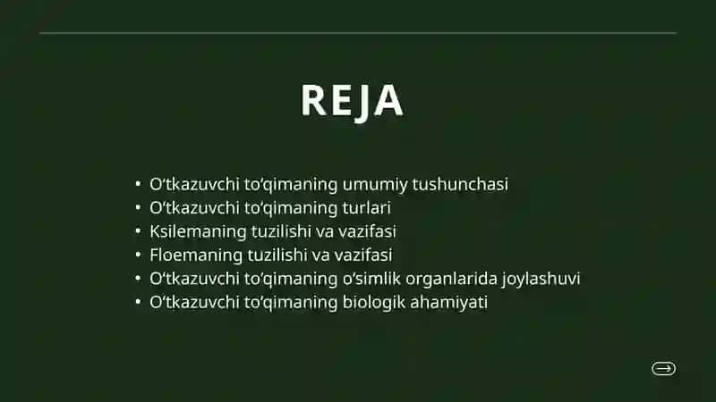 O'tkazuvchi to'qima 2