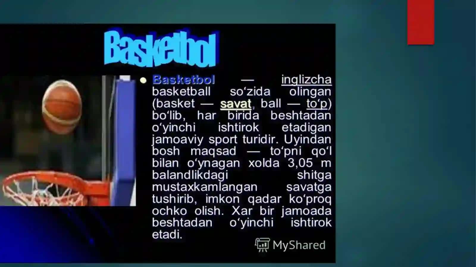 BASKETBOL SPORT TURI 2