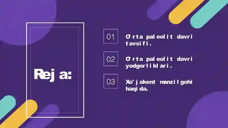 O'rta Paleolit davri manzilgohlari 2