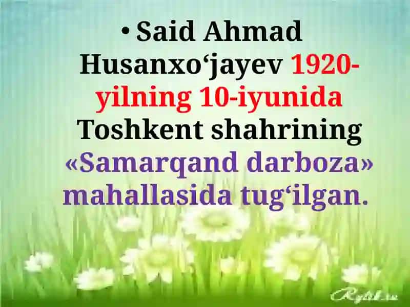 Said Ahmad 2