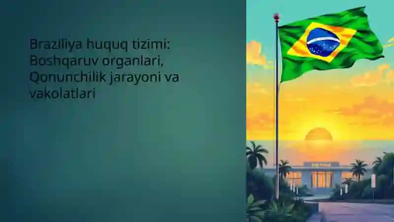 Braziliya huquq tizimi 2