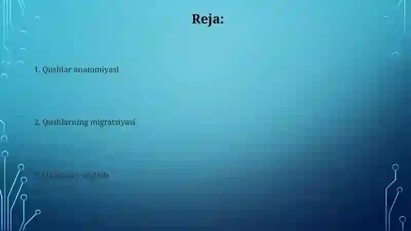 Qushlar 2