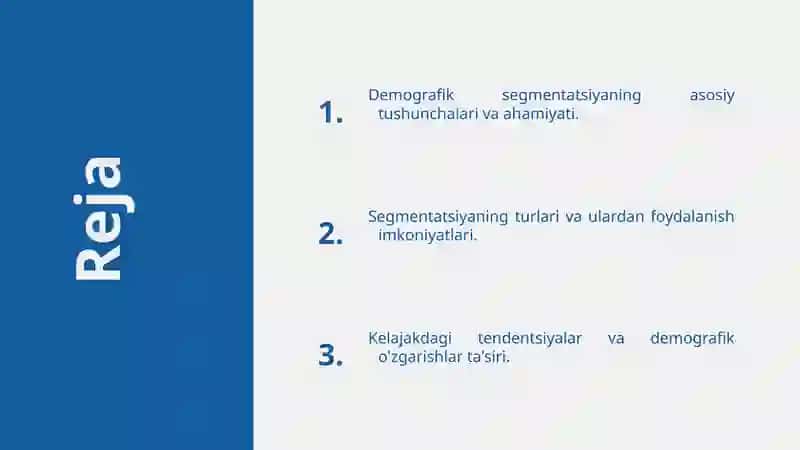 Demografik Segmentatsiya 2
