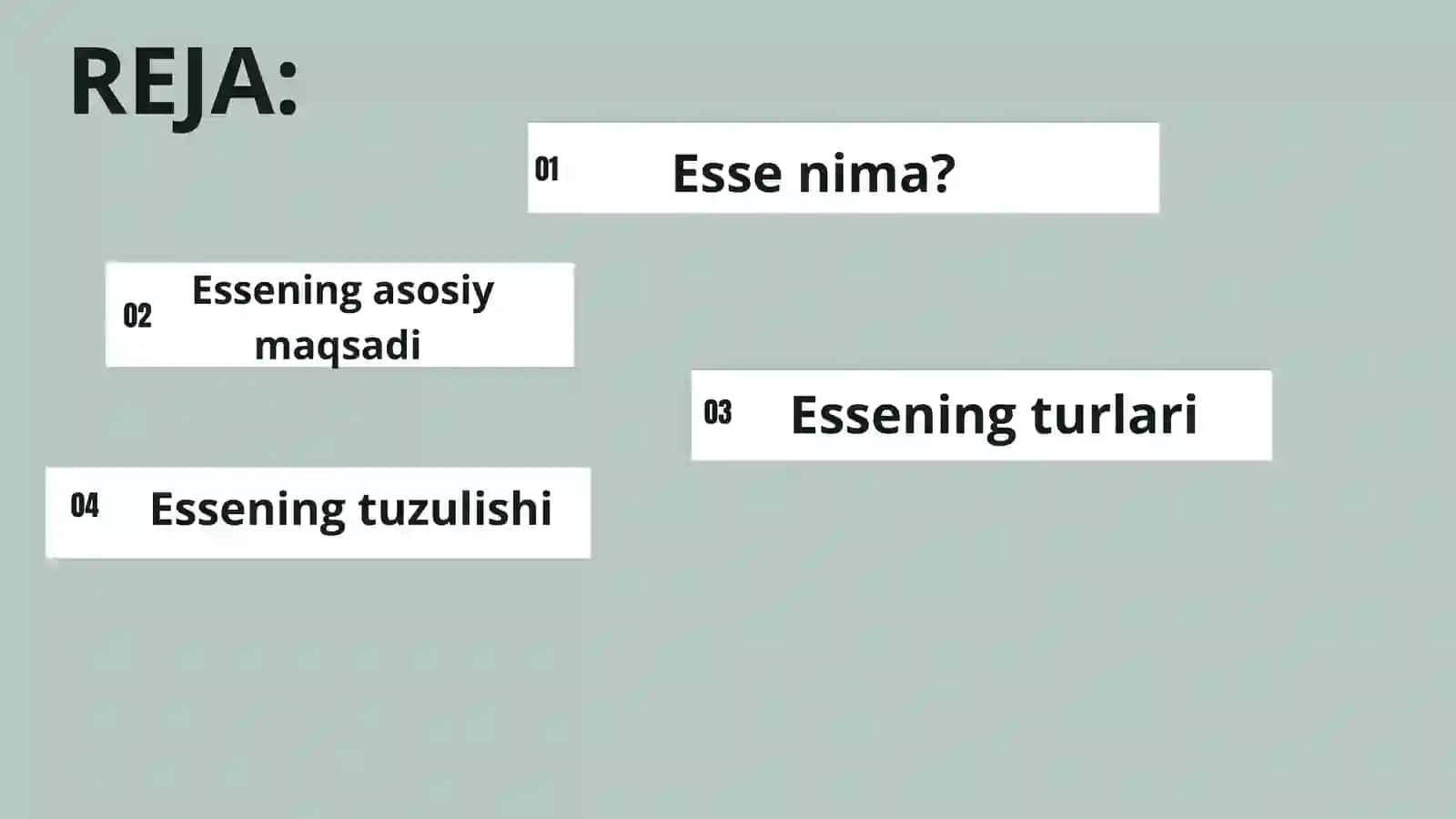 Belgilangan mavzuda esse yozish 2
