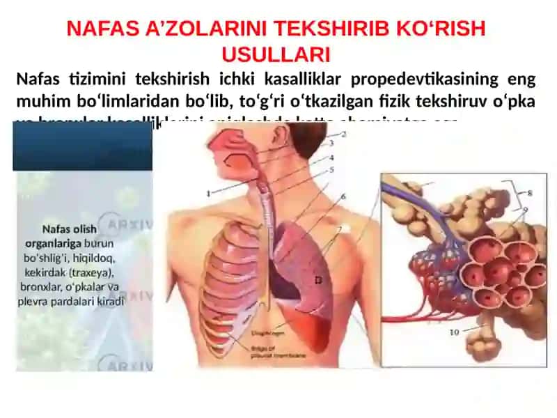 Nafasa’zolari tekshirish usullari 2