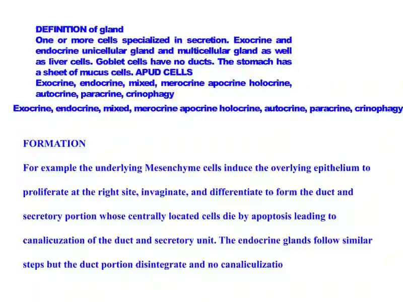 ENDOCRINE SYSTEM 2