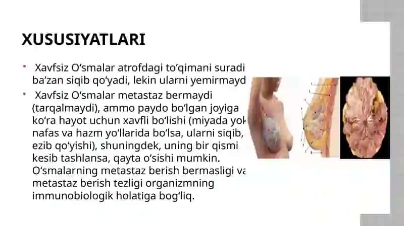 XAVFSIZ O’SMALAR 2