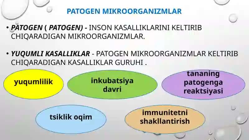 ichakning zoonoz kasalliklari 2