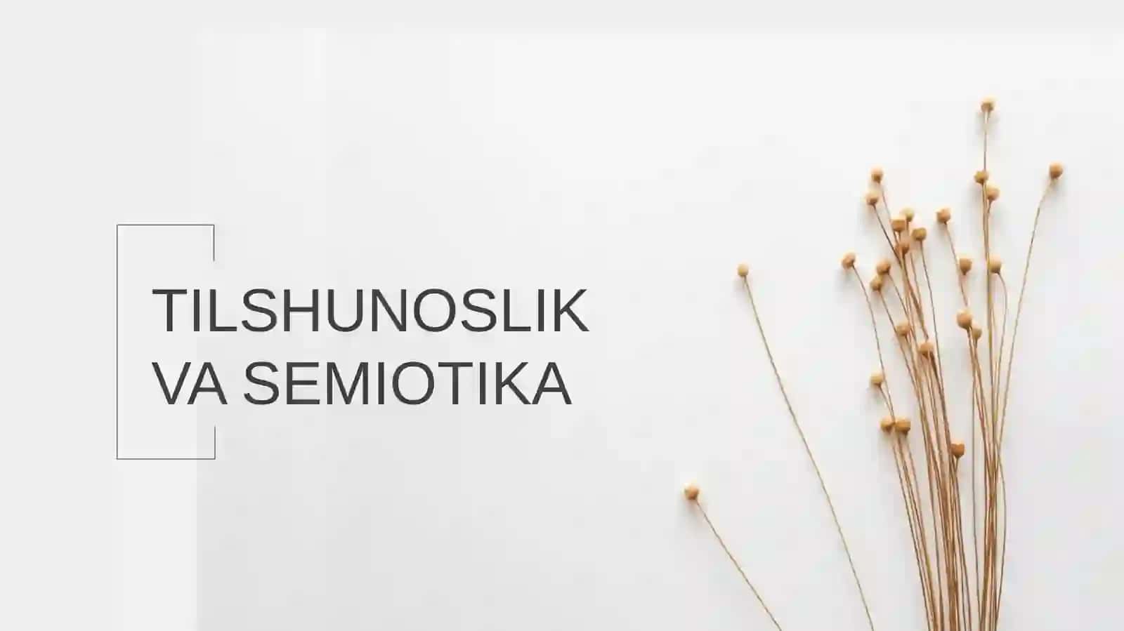 Tilshunoslik nazaryasi 2