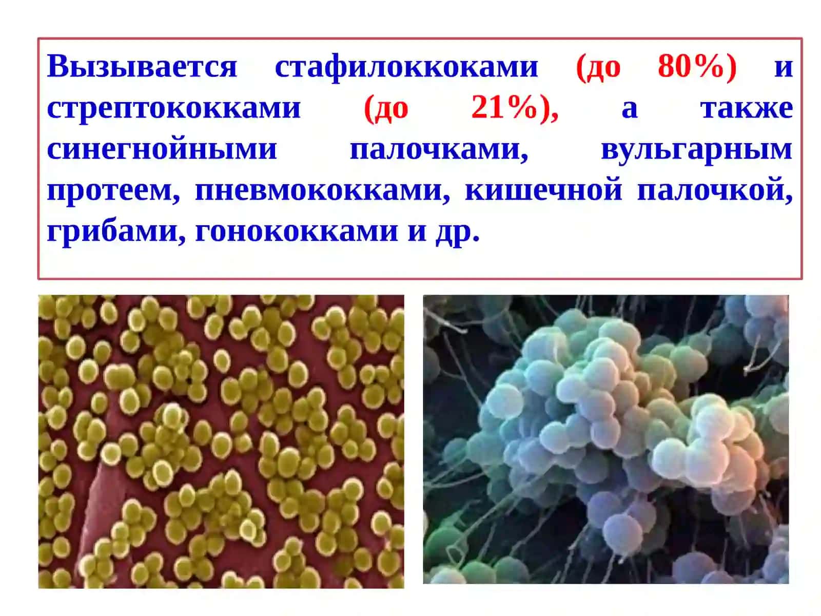 Пиодермиты 2