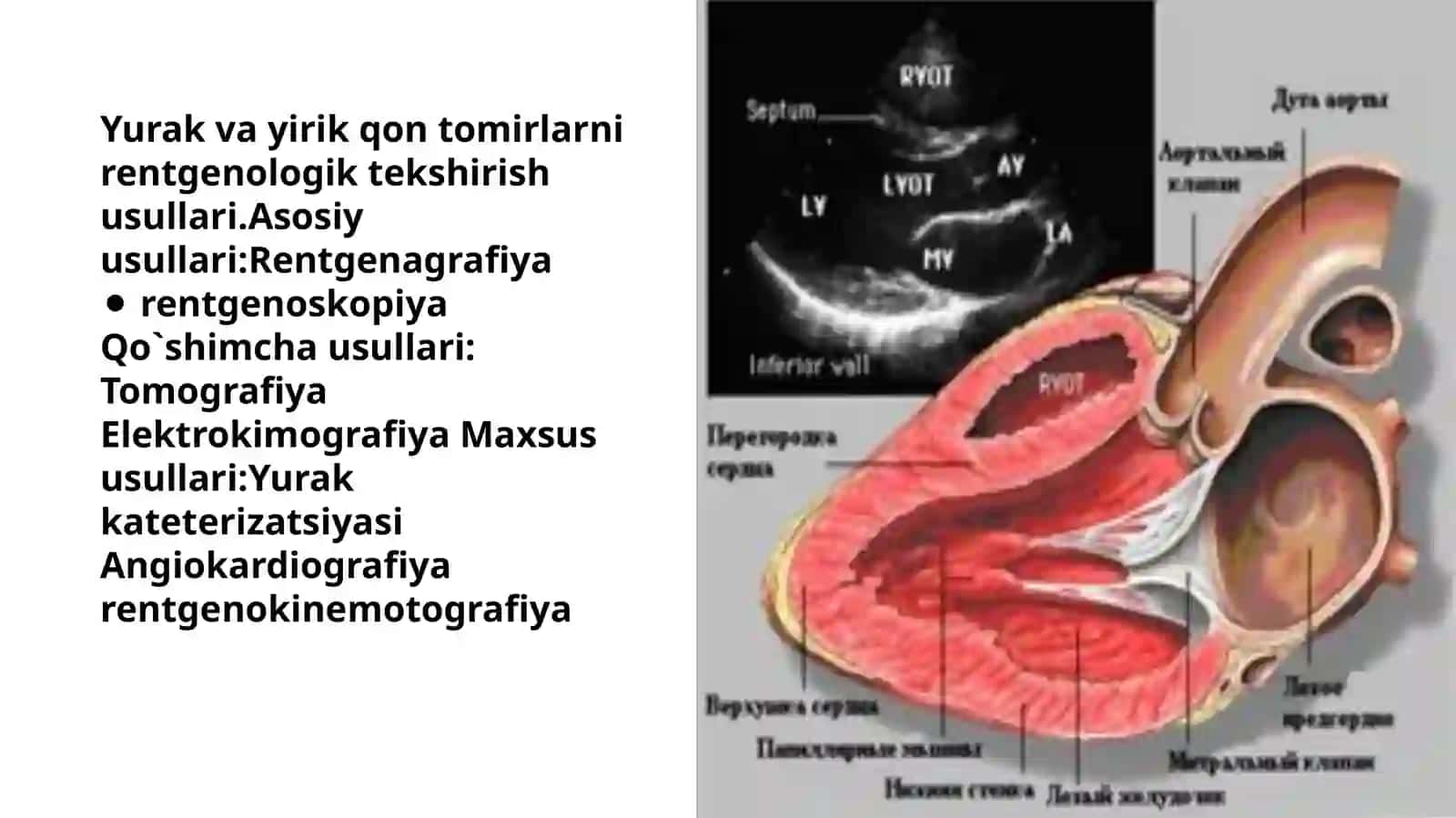 Yurak va yirik qon tomirlari tekshirish 2