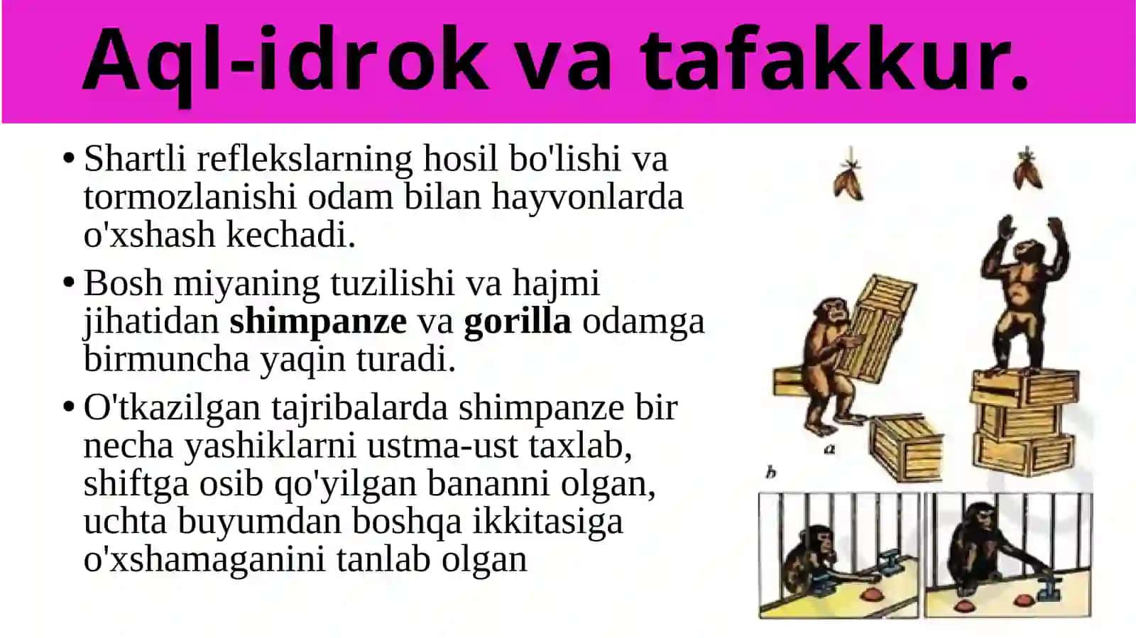 Biologiya 2