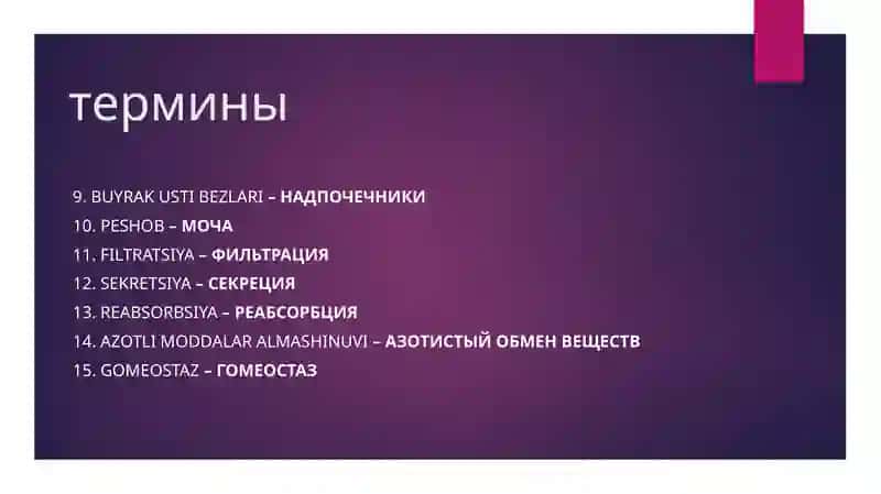Термины 2