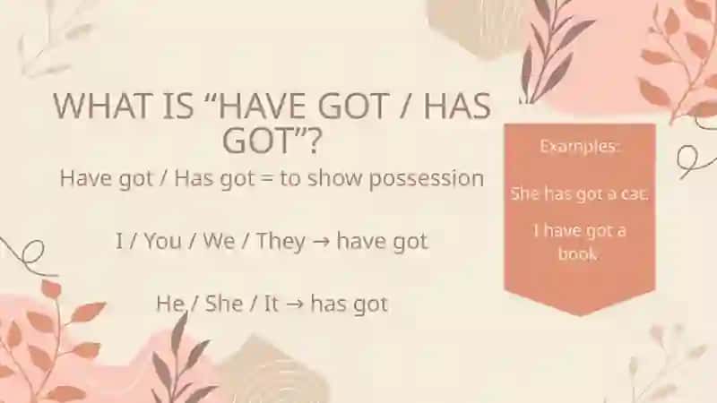 Have got / Has got Grade 7 2