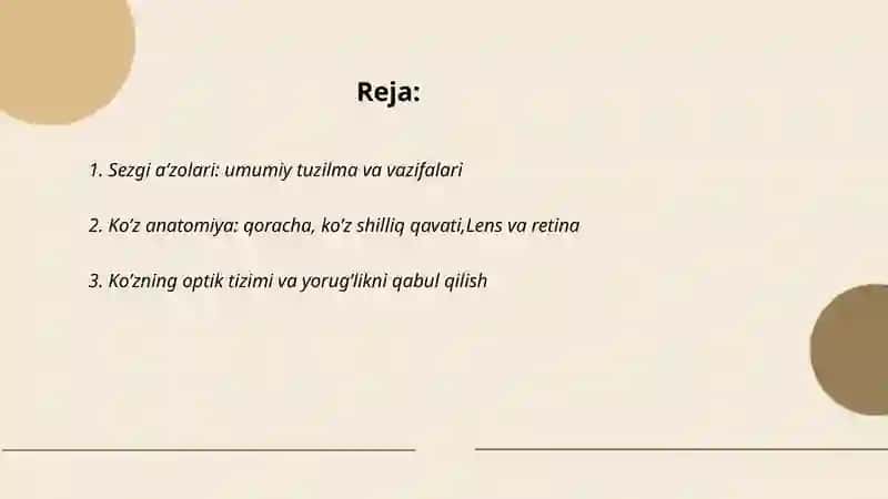 Sezgi a'zolari 2