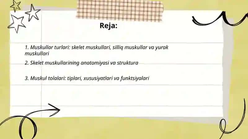 Muskullar 2
