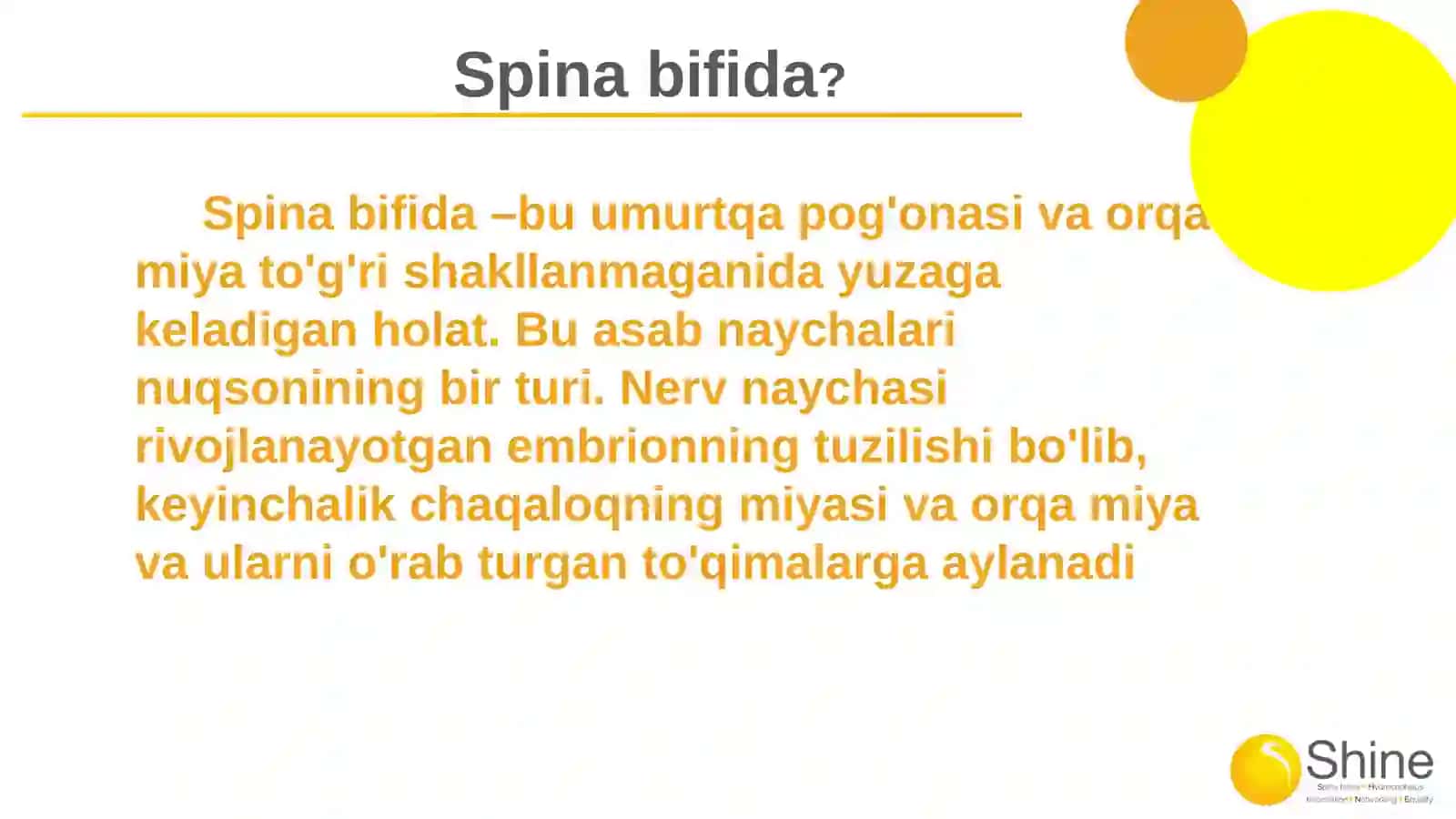 Spina bifida 2