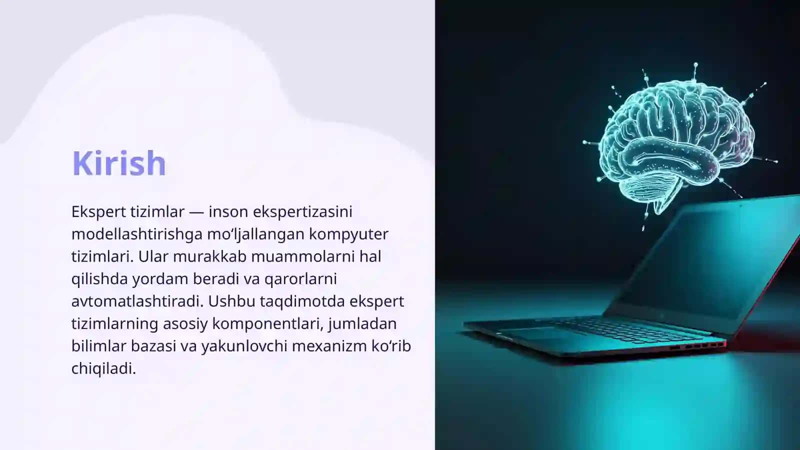 Ekspert Tizimlar 2