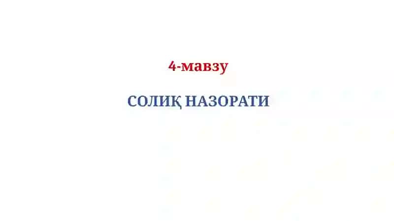 СОЛИҚ НАЗОРАТИ 2