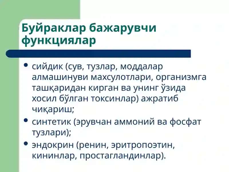 Буйракларпатофизиологияси 2