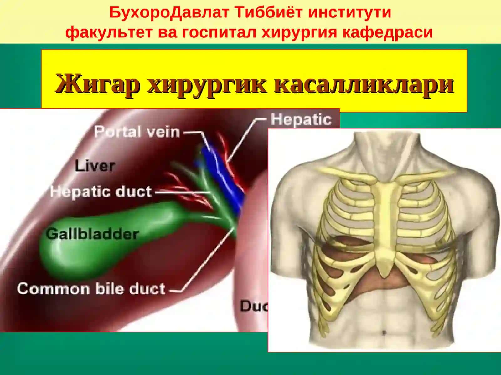 Жигар хирургик касалликлари 2