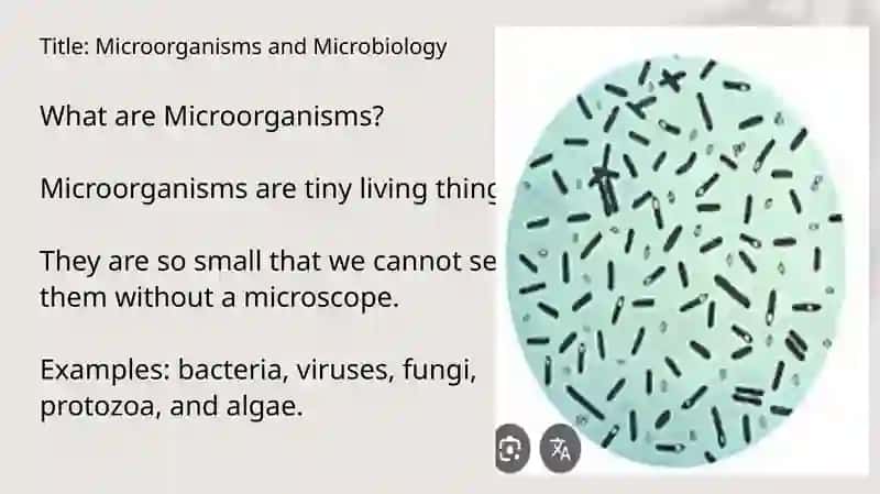 Microorganisms and Microbiology 2