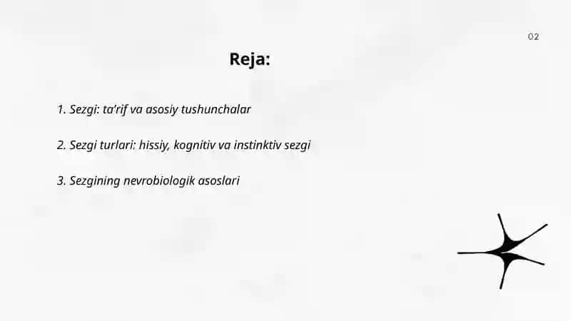 Sezgi 2