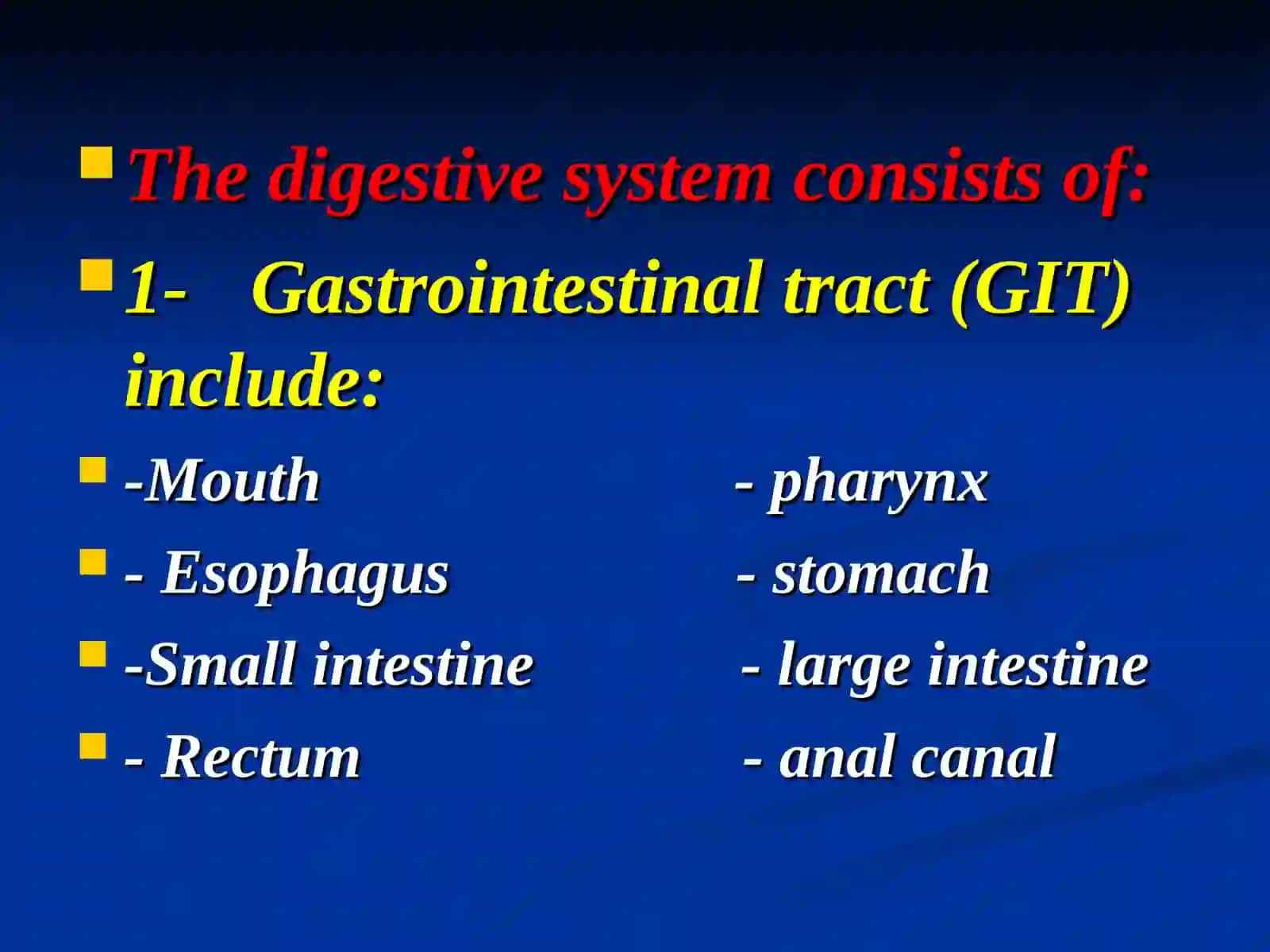 THE DIGESTIVE SYSTEM 2