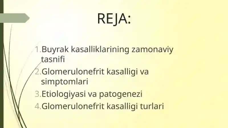 Glomerulonefrit kasalligi 2