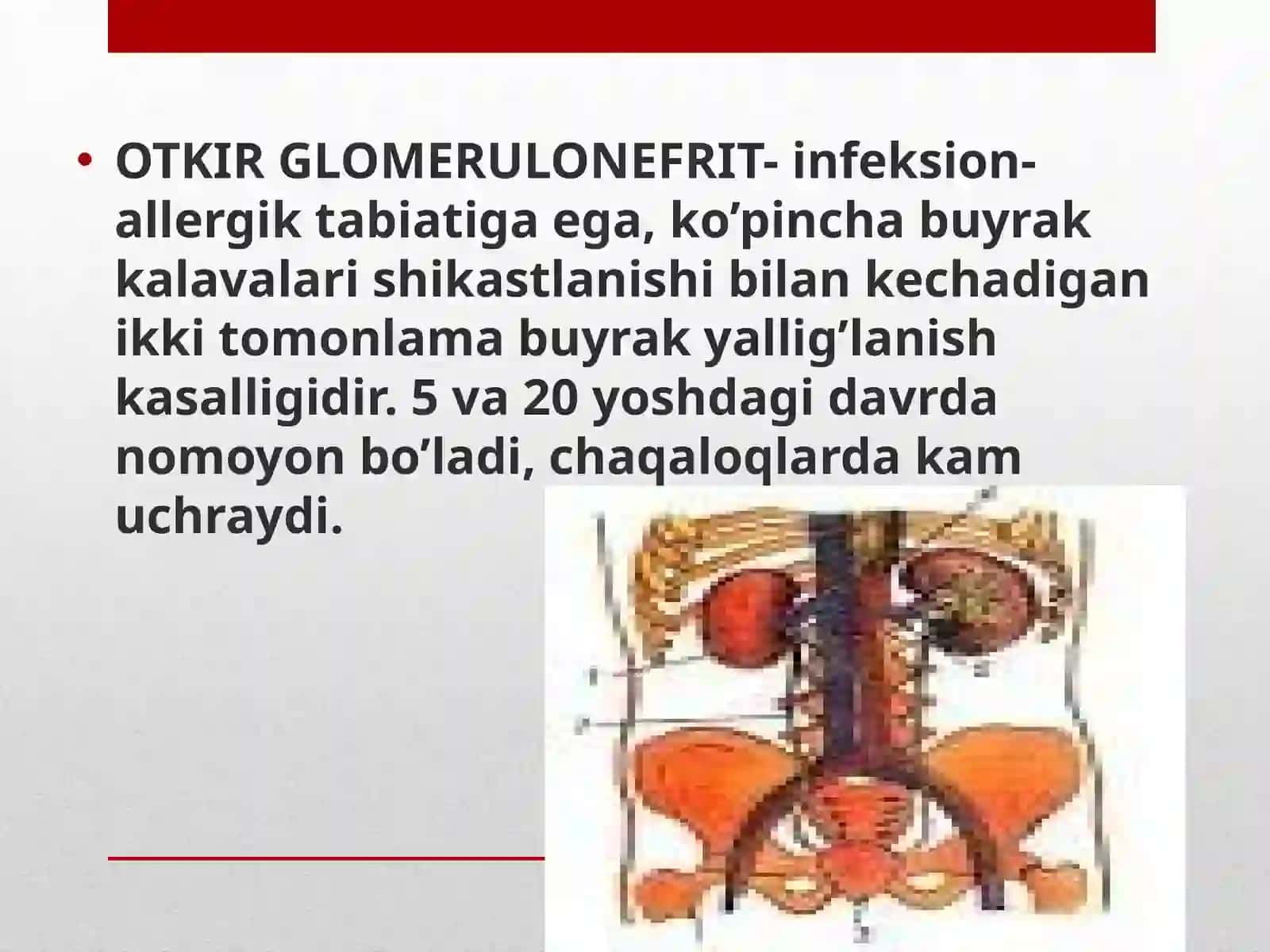 O’tkir va surunkali glomerulonefrit. Pielonefrit 2