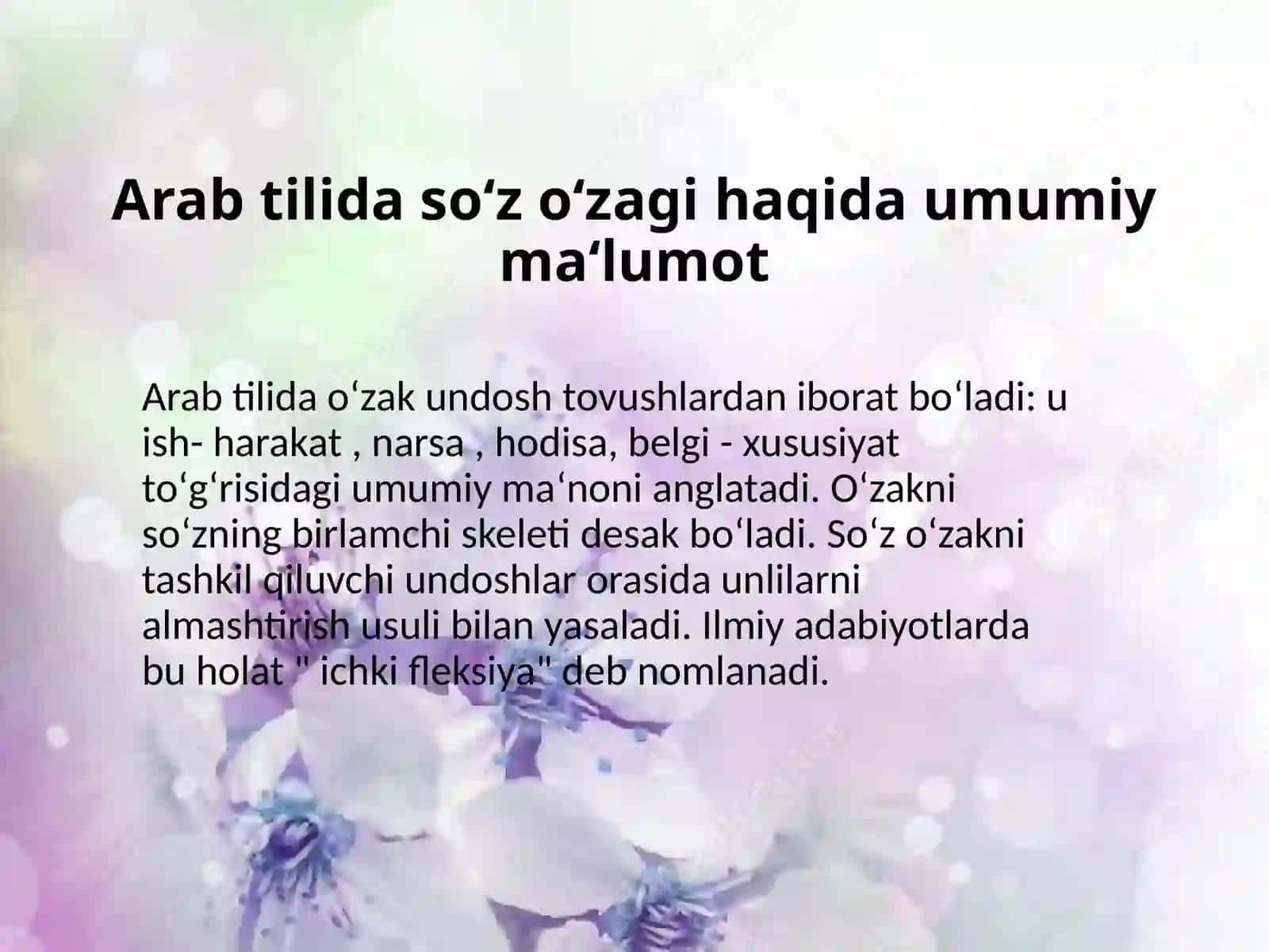 So‘z o‘zagi va o‘zakning turlari 2