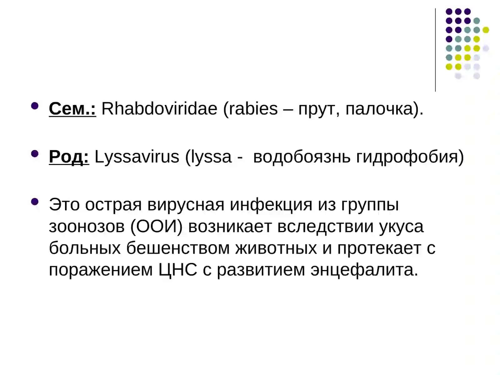 Вирус бешенства 2