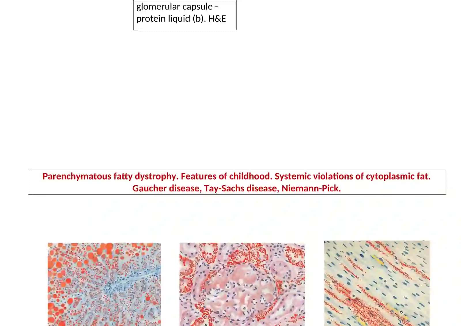 Hydropic dystrophy of epidermis 2