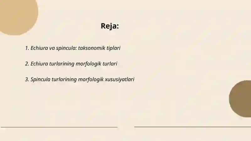 Echiura va spincula tiplari 2