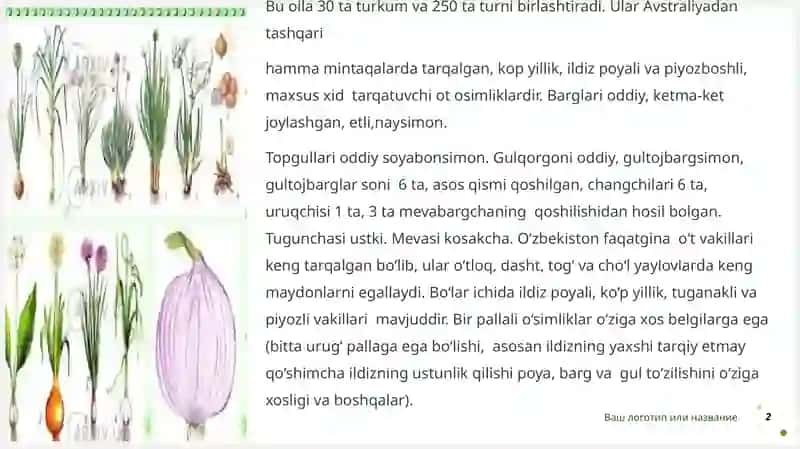 Piyozdoshlar oilasi 2