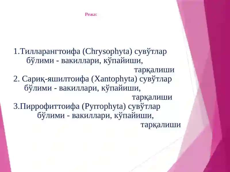 Ботаника 2