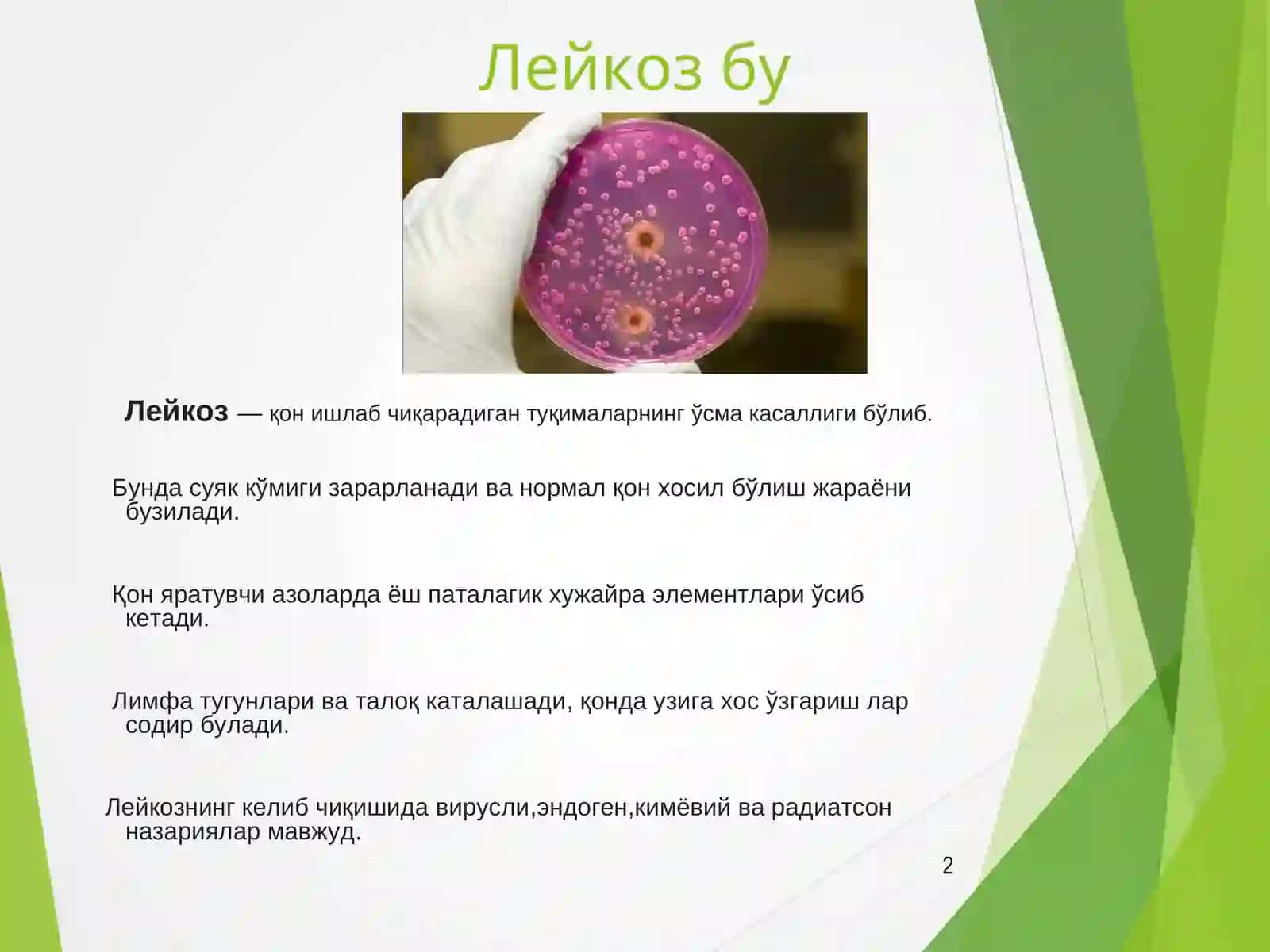 Лейкозлар дифференциал диагностикаси 2
