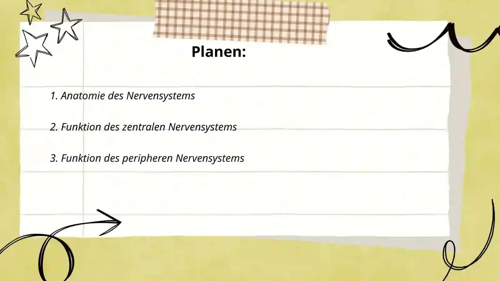 Anatomie des Nervensystems 2