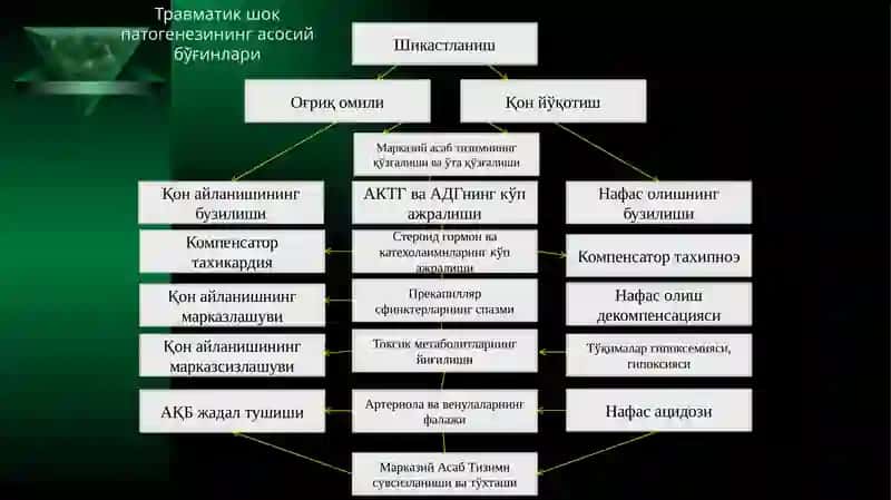 Травматик шок 2