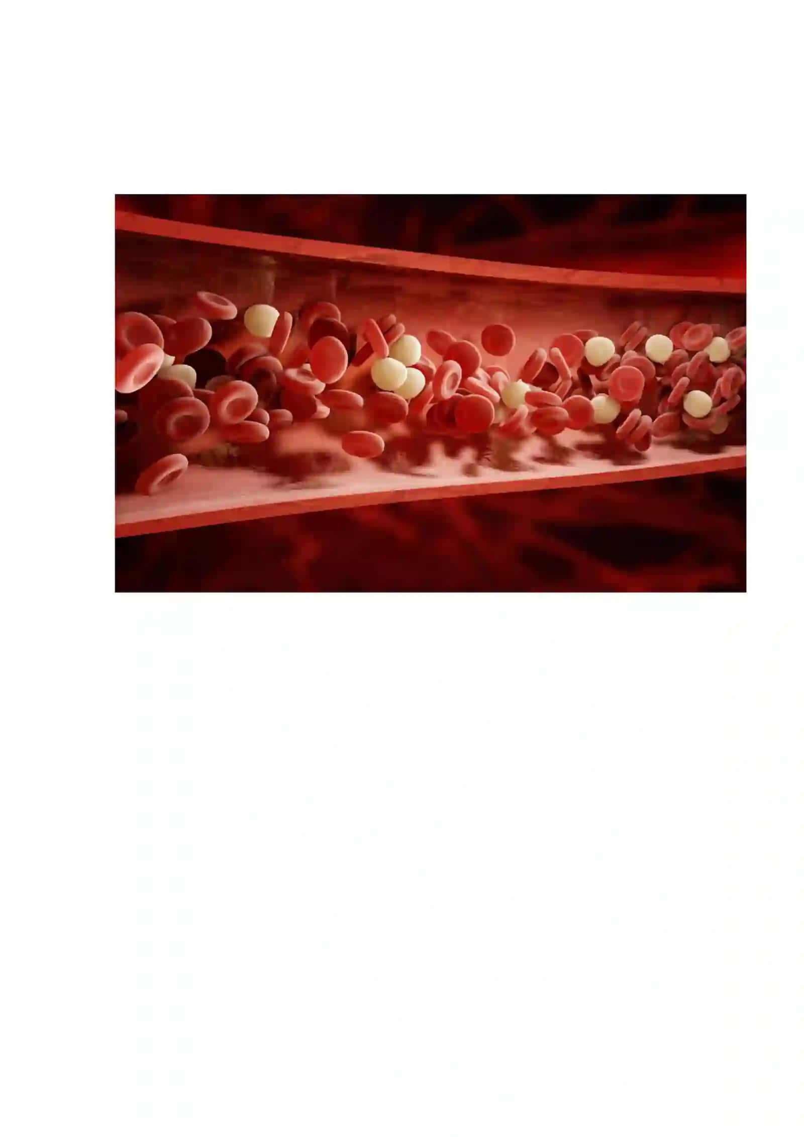 Qon (Blood) 2