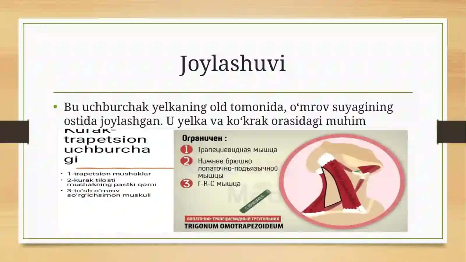 Kurak Trapetsiyasimon uchburchagi 2