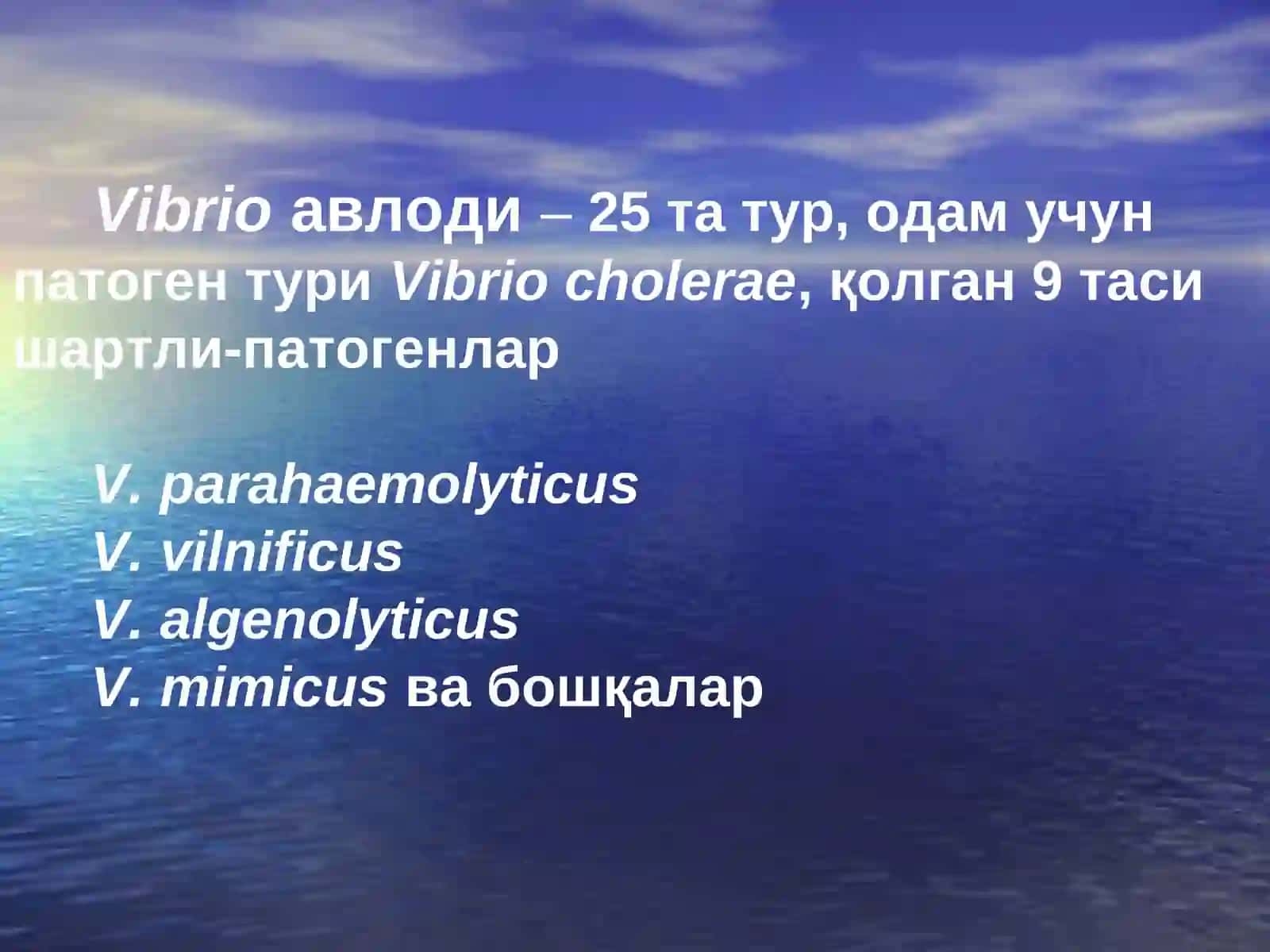 Vibrio cholerae 2