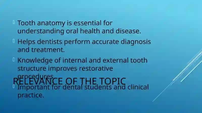TOOTH ANATOMY 2