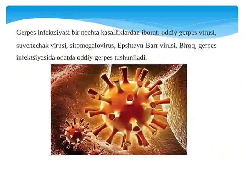 Gerpesvirusi 2