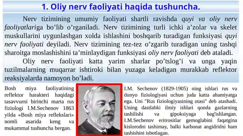 Oliy nerv faoliyati 2